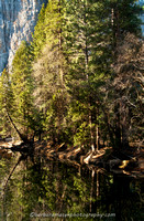 Yosemite, Mono Lake Bodie, Sierra's